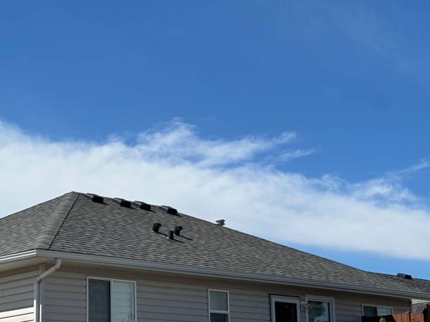 Best Chimney Flashing Repair  in Lakeview, OR